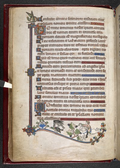 Dodaj MS 24686, f.14v, Chłopiec na kucyku z kaczką polującą na sokoła, c.1284-1316 (welum) autorstwa English School