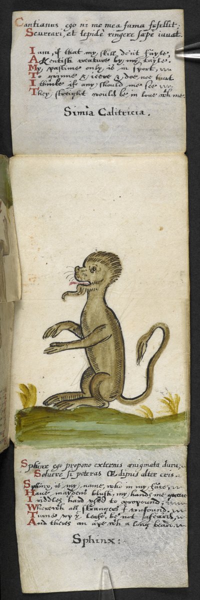 Dodaj książkę do gry MS 57312 f.14 (tusz i kolor na pergaminie) autorstwa English School