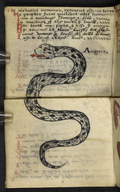 Dodaj książkę do gry MS 57312 f.4 (tusz i kolor na pergaminie) autorstwa English School