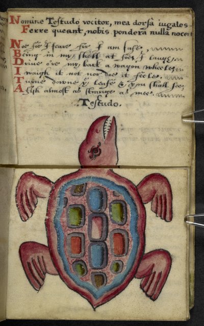 Dodaj książkę do gry MS 57312 f.5 (tusz i kolor na pergaminie) autorstwa English School