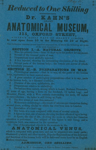 Reklama dla Muzeum Anatomiczne Dr Khans Grant autorstwa English School
