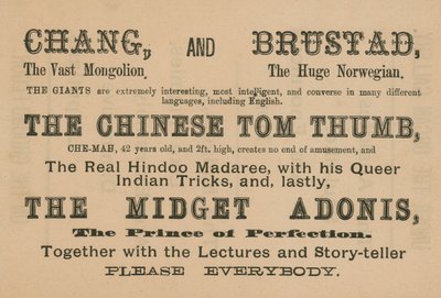 Reklama występów Chang, Brustad, The Chinese Tom Thumb i The Midget Adonis autorstwa English School