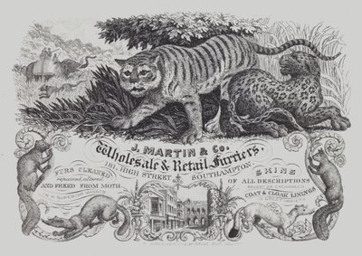 Reklama firmy J Martin & Co, hurtowni i detalistów kuśnierzy, Southampton, Hampshire (litho) autorstwa English School