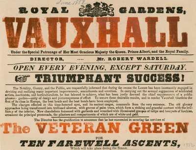 Reklama Royal Garden, Vauxhall; Ogrody Vauxhall, Londyn autorstwa English School