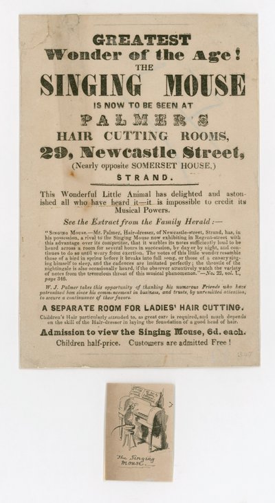 Reklama Śpiewającej Myszy autorstwa English School