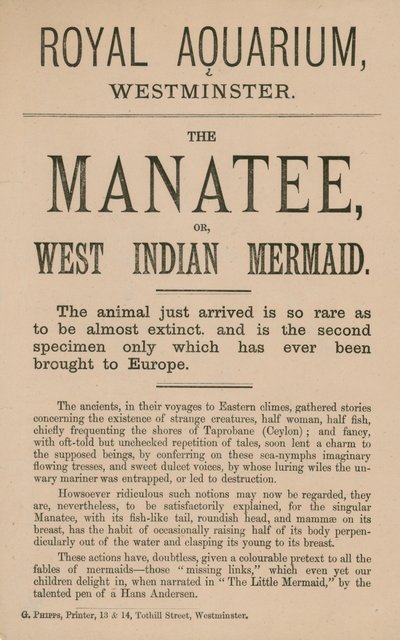 Reklama dla manata autorstwa English School