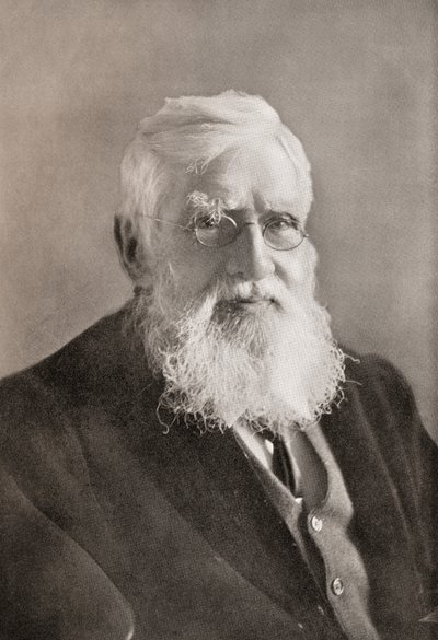 Alfred Russel Wallace, z "Roku autorstwa English School