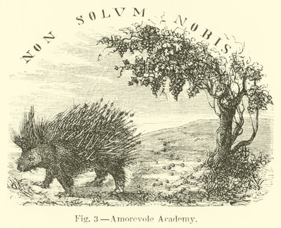 Akademia miłości autorstwa English School