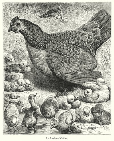 Niespokojna matka (rycina) autorstwa English School