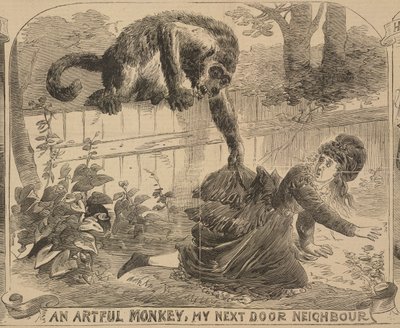 „Przemyślna małpa, mój sąsiad z sąsiedztwa”, ilustracja z „Ilustrowanych wiadomości policyjnych”, 24 sierpnia 1872 r. (lito) autorstwa English School