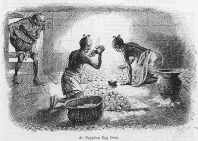 Egipski piec do jajek (grawerunek) autorstwa English School