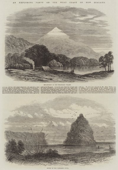 Odkrywcza impreza na zachodnim wybrzeżu Nowej Zelandii (rycina) autorstwa English School