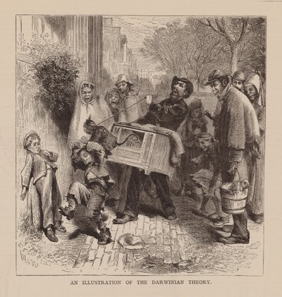 Ilustracja teorii darwinowskiej (rycina) autorstwa English School