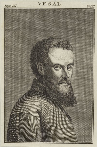 Andreas Vesalius autorstwa English School