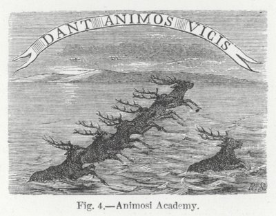 Akademia Animosi (grawerowanie) autorstwa English School