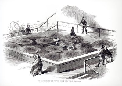 Annie Paxton na lilii wodnej Victoria regia w Wielkim Konserwatorium w Chatsworth, 1849 autorstwa English School