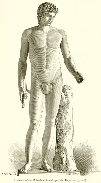 Antinous z Belwederu, znaleziony na Eskwilinie autorstwa English School