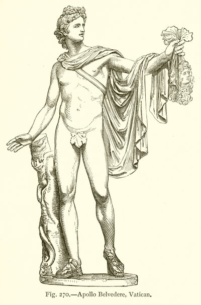 Apollo Belvedere, Watykan autorstwa English School