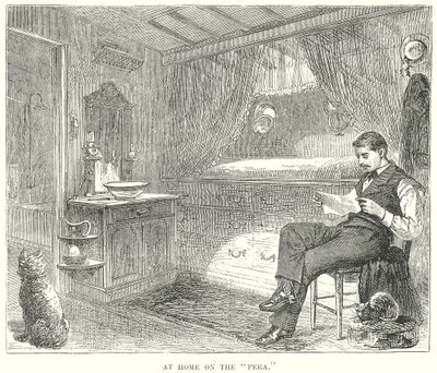 W domu na "Pera" (grawerunek) autorstwa English School