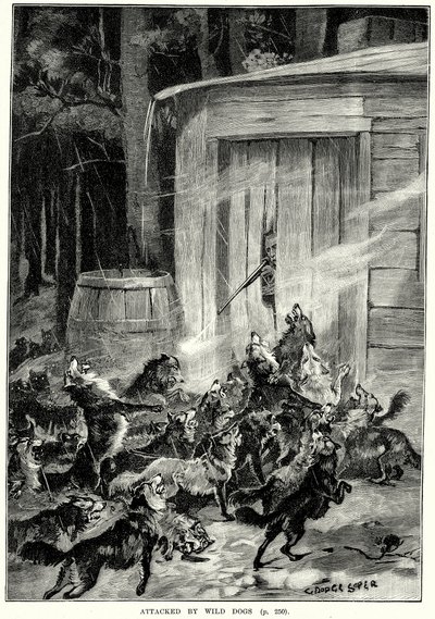 Zaatakowany przez dzikie psy (grawerunek) autorstwa English School