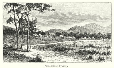 Australia: Stacja Coranderrk (grawerowanie) autorstwa English School