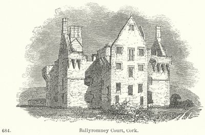Ballyromney Court, Cork (grawerunek) autorstwa English School
