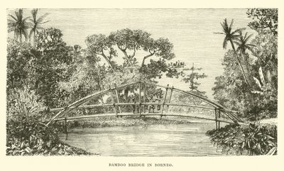 Most bambusowy na Borneo autorstwa English School