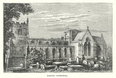 Katedra w Bangor (grawerunek) autorstwa English School