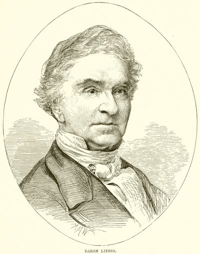 Baron Liebig autorstwa English School