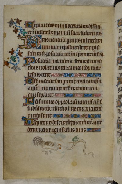 Płaskostronicowa scena walki koguta ze skrzydlatym wężem, z ozdobnym inicjałem „D” (eus), Psałterz („Psałterz Królowej Marii”), Royal MS 2 B VII, f.187v, c.1310- 20 (welin) autorstwa English School