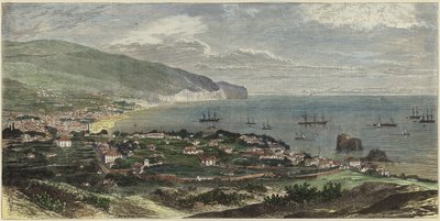 Zatoka i miasto Funchal autorstwa English School