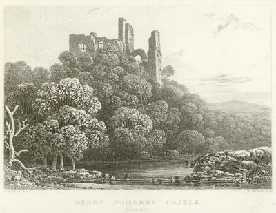 Zamek Berry Pomeroy, Devonshire (grawerowanie) autorstwa English School