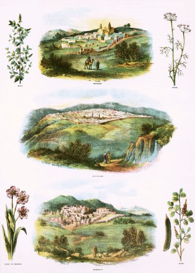 Ilustracje biblijne autorstwa English School