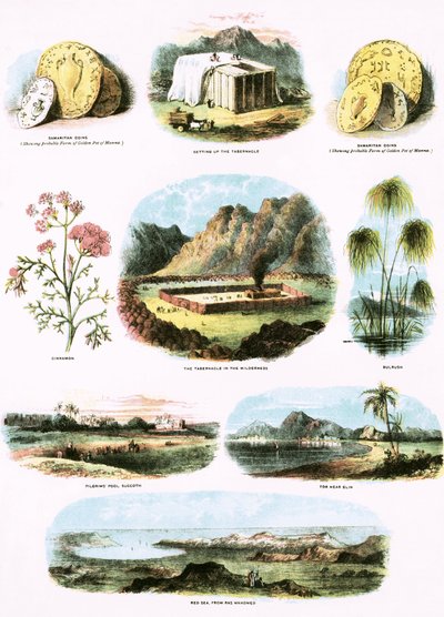 Ilustracje biblijne autorstwa English School