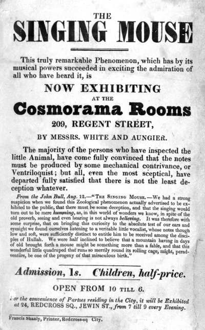 Plakat Billa na wystawę Śpiewająca Myszka w Cosmorama Rooms, 209 Regent Street, ok. godz. 1836 autorstwa English School