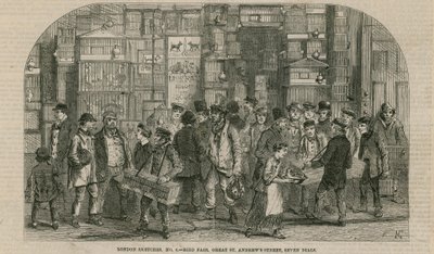 Targi ptaków, Great St Andrews Street, Seven Dials, Londyn autorstwa English School