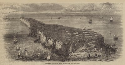 Widok z lotu ptaka na wyspę Helgoland (grawerunek) autorstwa English School