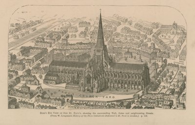 Widok z lotu ptaka na stary St Pauls autorstwa English School