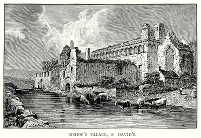 Pałac Biskupi, S David