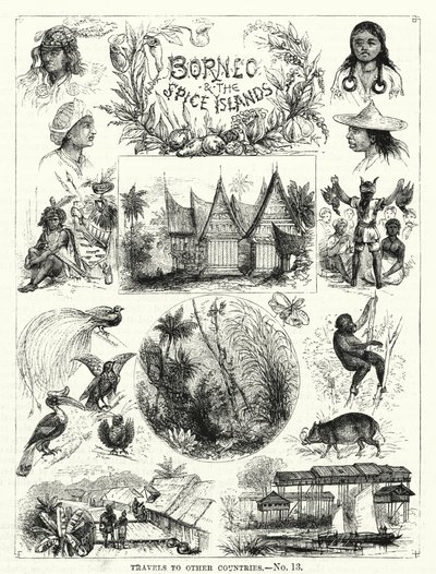 Borneo i Wyspy Przypraw (grafika) autorstwa English School