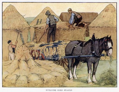 Budowanie stosów kukurydzy (kolorowa litografia) autorstwa English School