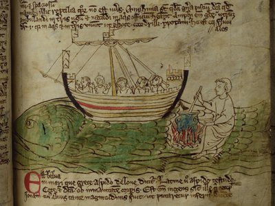 CCA-LitMs/D/10 os. 30r Wieloryb, z Bestiariusza autorstwa English School