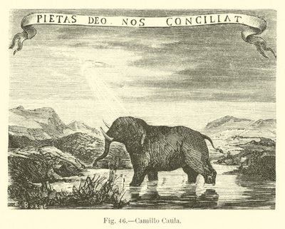 Camillo Caula autorstwa English School
