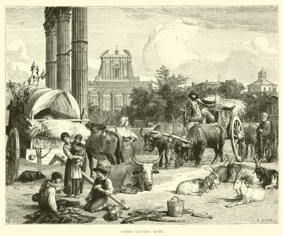 Campo Vaccino, Rzym autorstwa English School