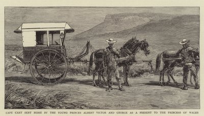 Cape Cart wysłany do domu przez młodych książąt Alberta Victora i George