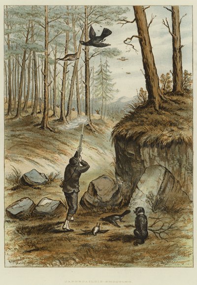 Capercailzie-Shooting (chromolitho) autorstwa English School