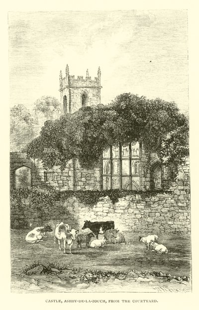 Zamek, Ashby-de-la-Zouch, od dziedzińca autorstwa English School