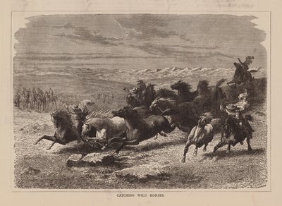Łapanie dzikich koni (grawerunek) autorstwa English School
