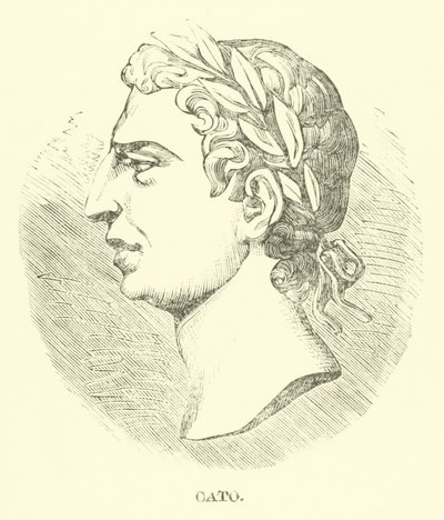 Cato autorstwa English School
