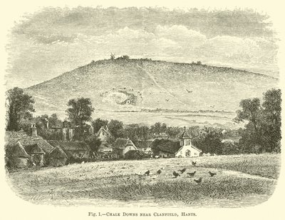 Chalk Downs w pobliżu Clanfield, Hants autorstwa English School